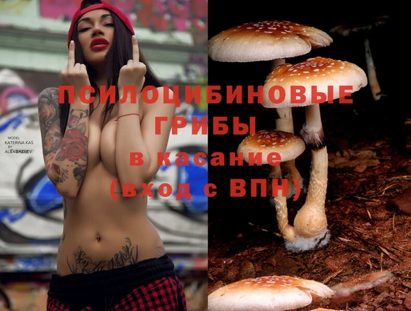 прущие крисы Заволжье